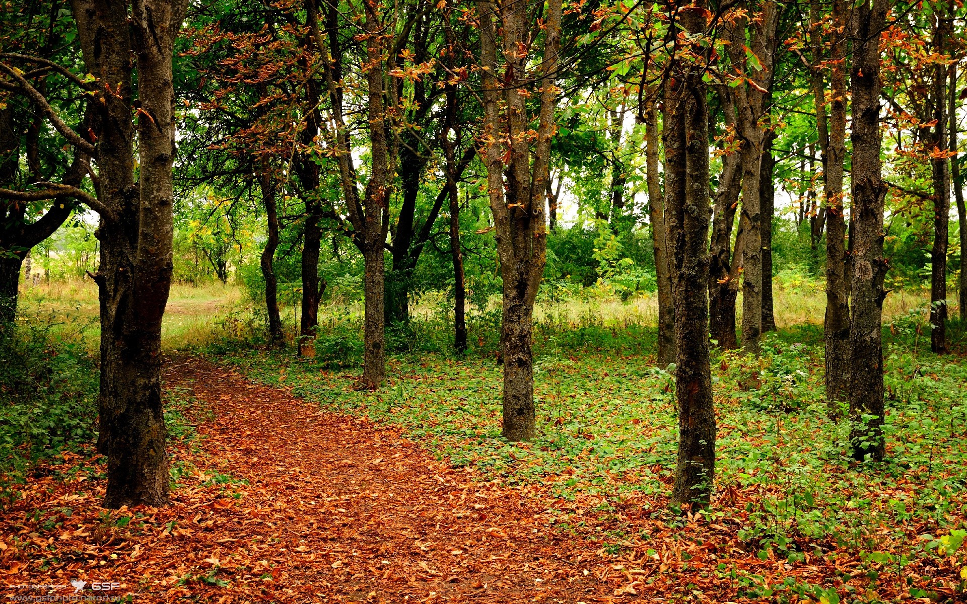 体育赛事观众互动平台，体育赛事直播平台有哪些